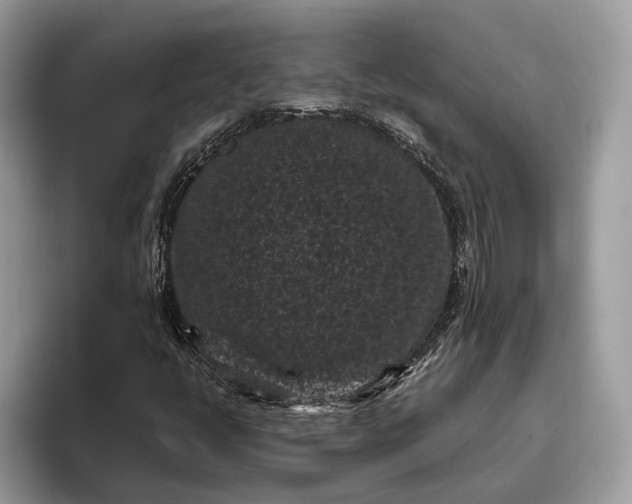 X0000095911398200801251000