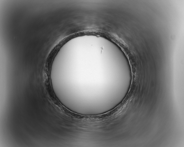 X0000095911400200801251000