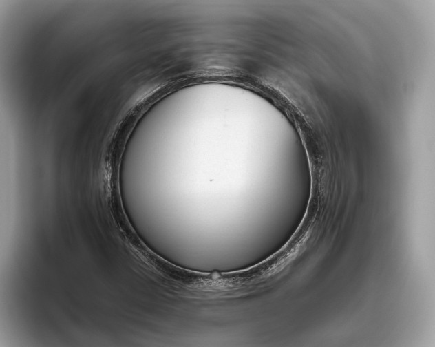 X0000095911402200801251000