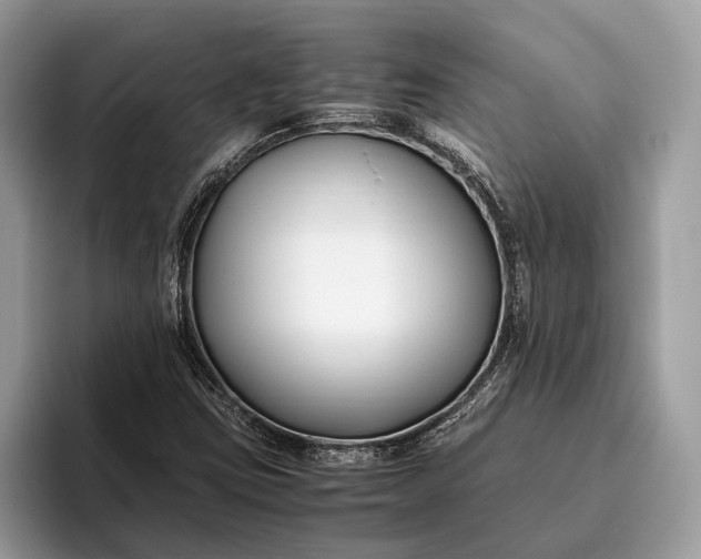 X0000095911403200801251000