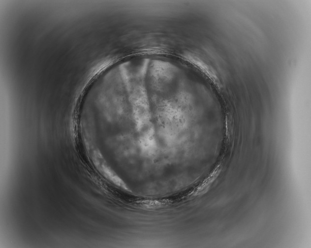 X0000095911405200801251000