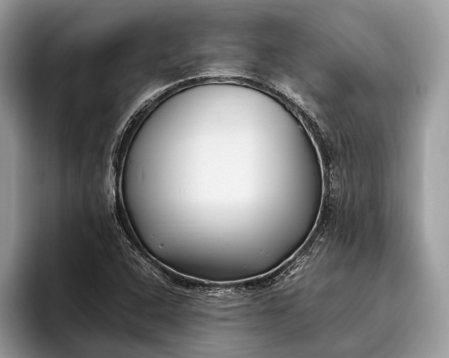 X0000095911408200801251001