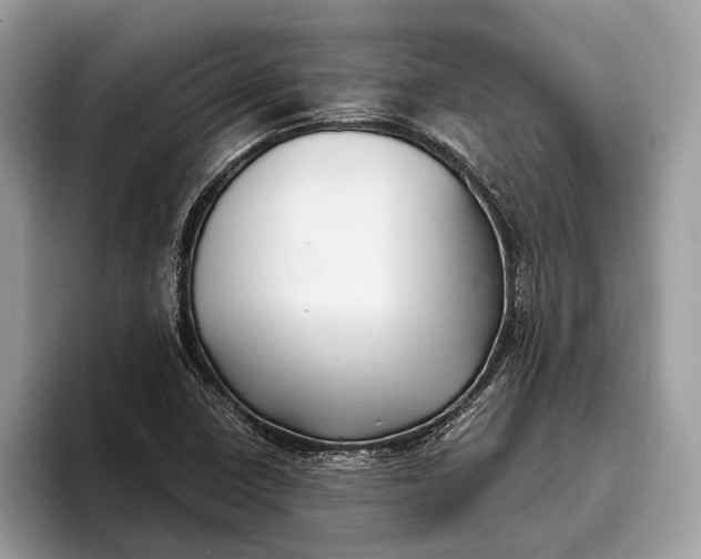 X0000095911410200801251001