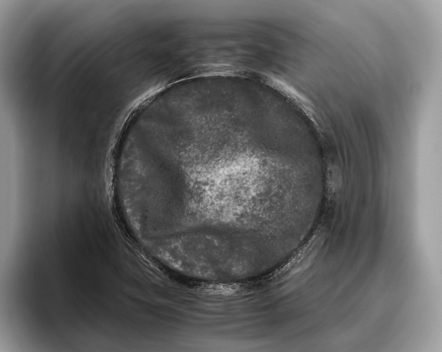 X0000095911411200801251001