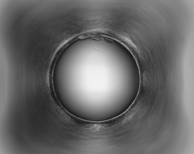 X0000095911412200801251001