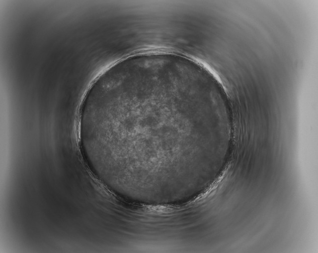 X0000095911413200801251001