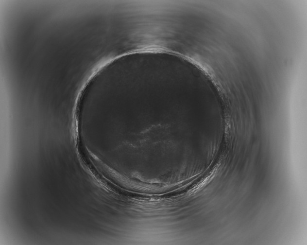 X0000095911414200801251001