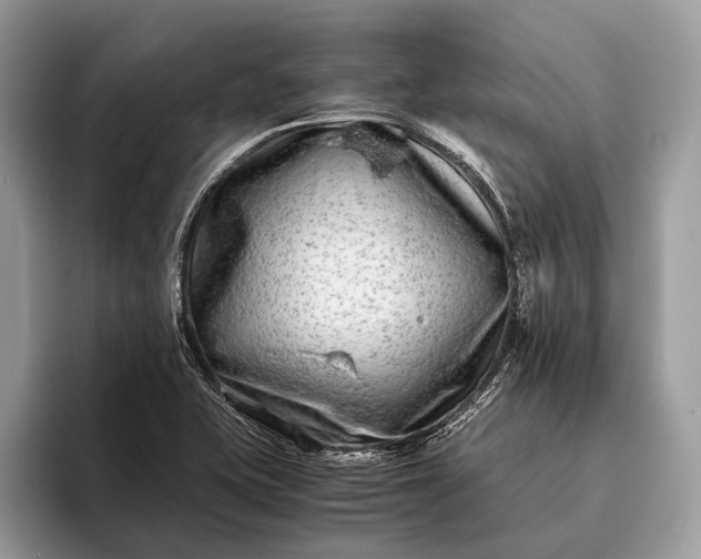 X0000095911415200801251001