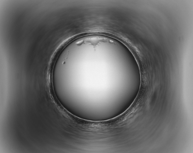 X0000095911416200801251001