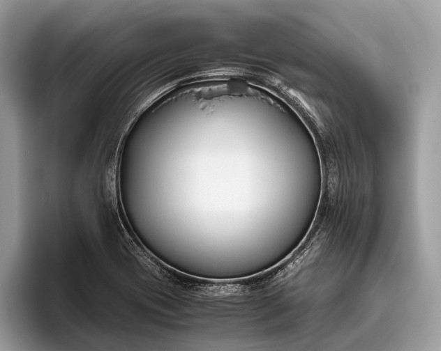 X0000095911417200801251001