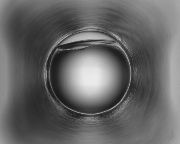 X0000095911418200801251001