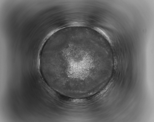 X0000095911419200801251001