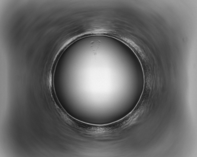 X0000095911420200801251001