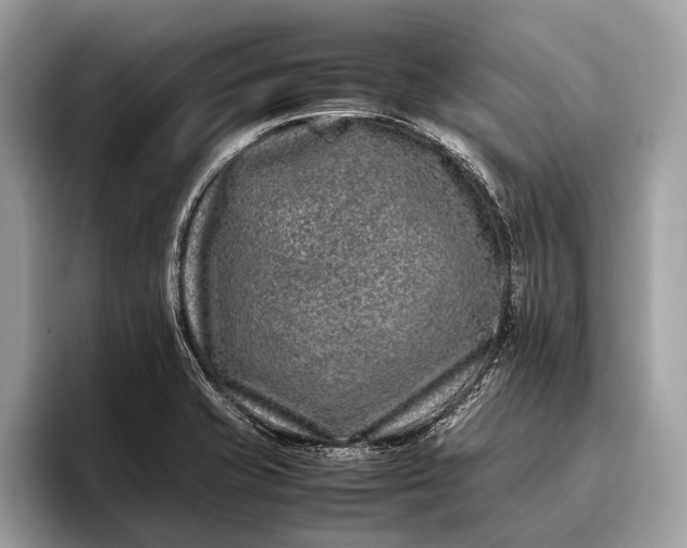 X0000095911421200801251001