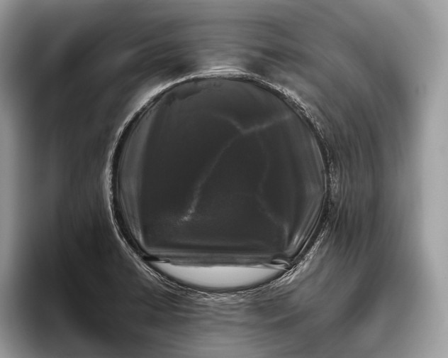 X0000095911422200801251001