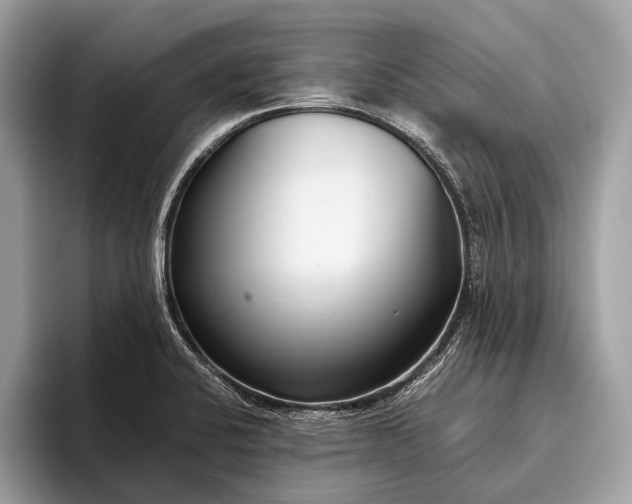 X0000095911424200801251001