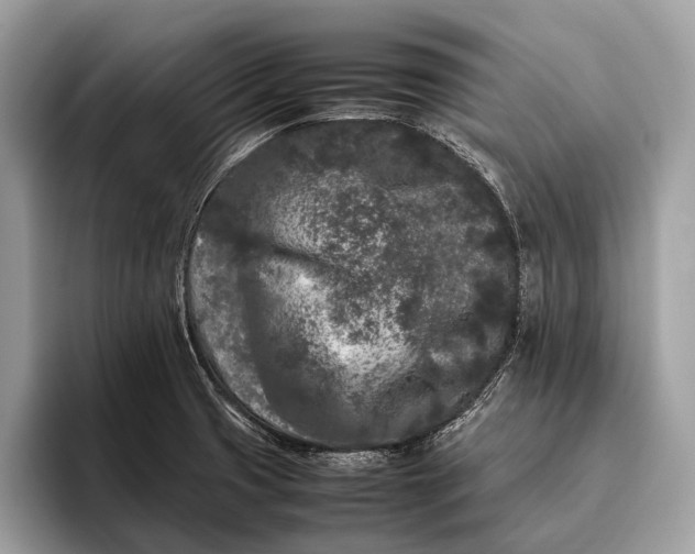 X0000095911425200801251001