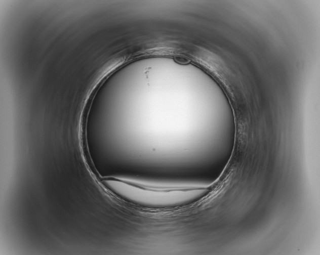 X0000095911426200801251001