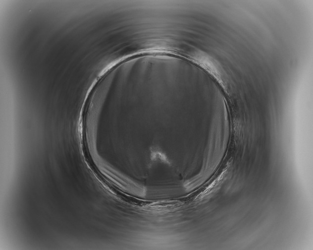 X0000095911428200801251001