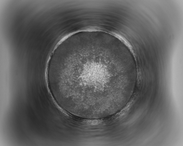 X0000095911429200801251001