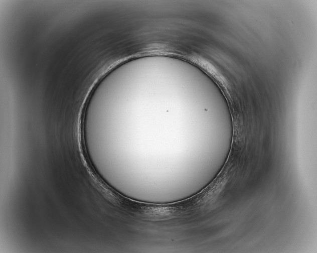 X0000095911431200801251001