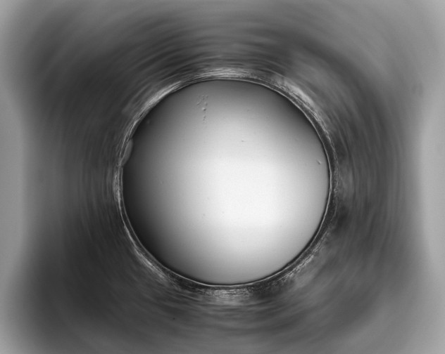 X0000095911433200801251001