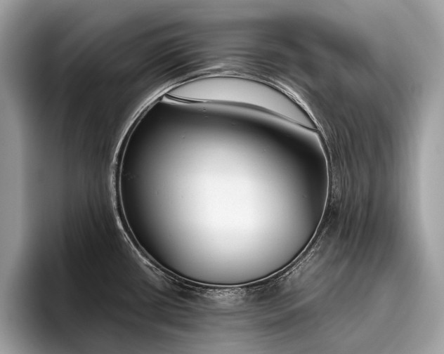 X0000095911434200801251001