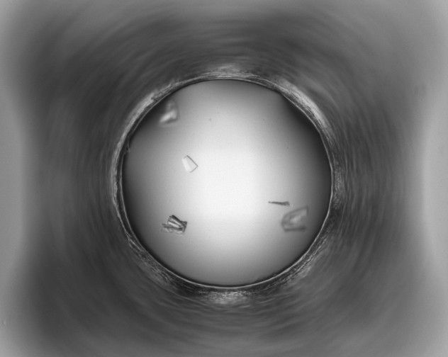 X0000095911435200801251001