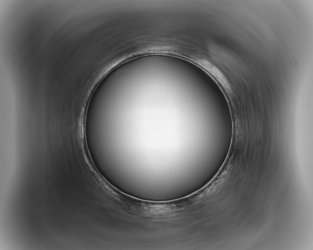 X0000095911436200801251001