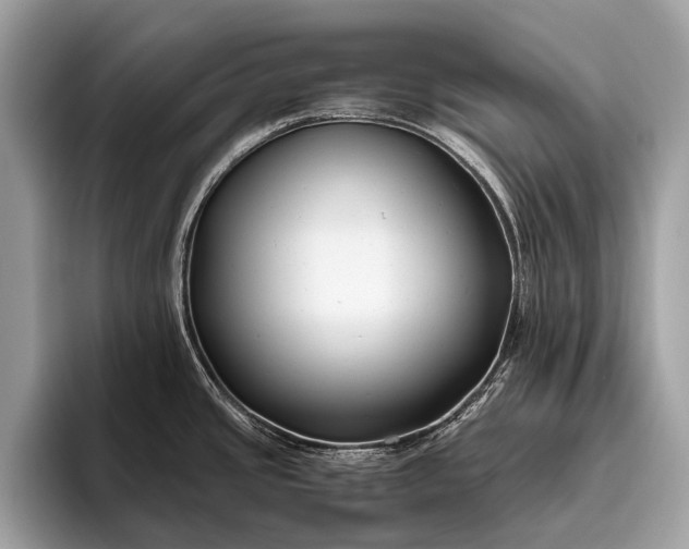 X0000095911437200801251001