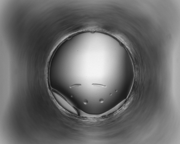 X0000095911438200801251001