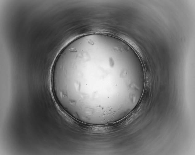 X0000095911439200801251001