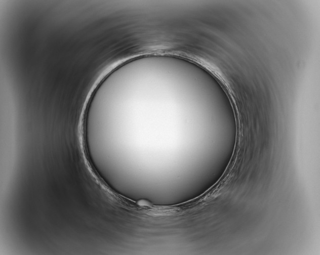 X0000095911440200801251001