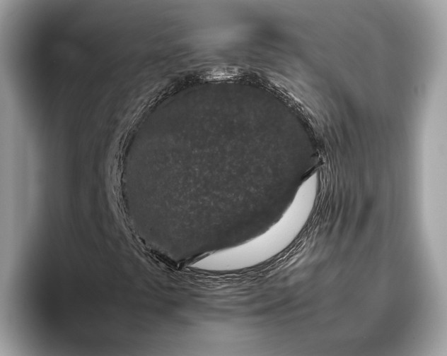 X0000095911441200801251000