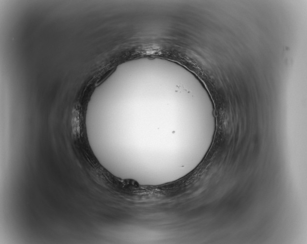 X0000095911442200801251000