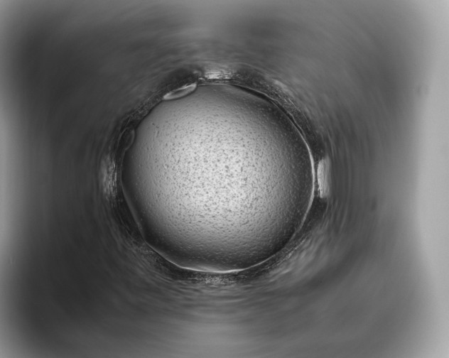 X0000095911443200801251000