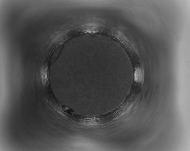 X0000095911444200801251000