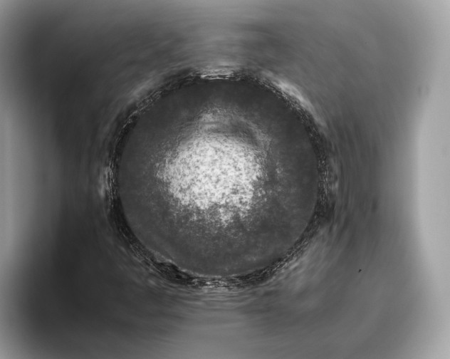 X0000095911445200801251000