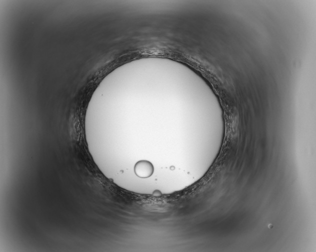 X0000095911446200801251000