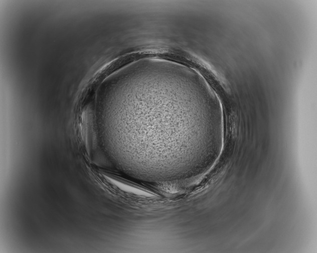 X0000095911448200801251000