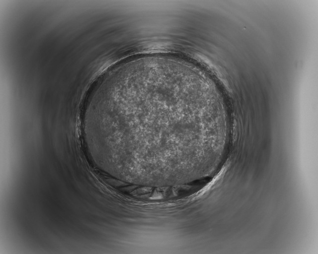 X0000095911449200801251000