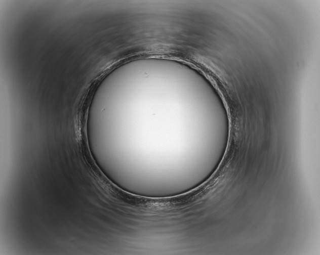 X0000095911451200801251000