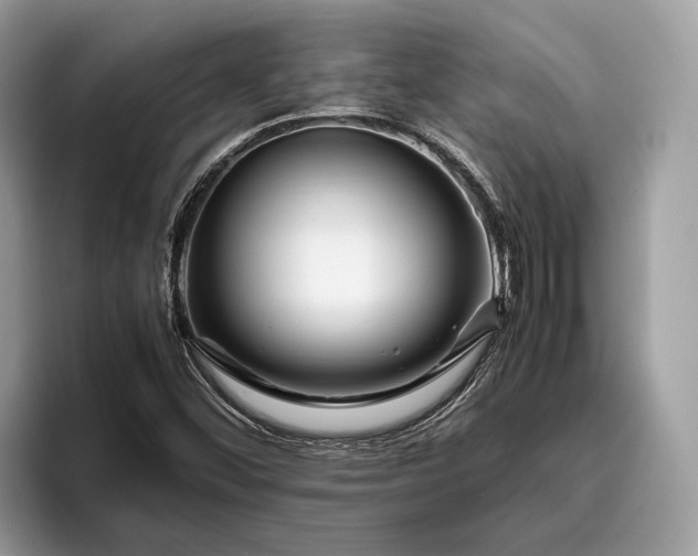 X0000095911452200801251000