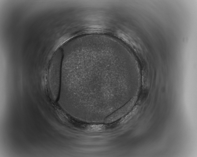 X0000095911453200801251000