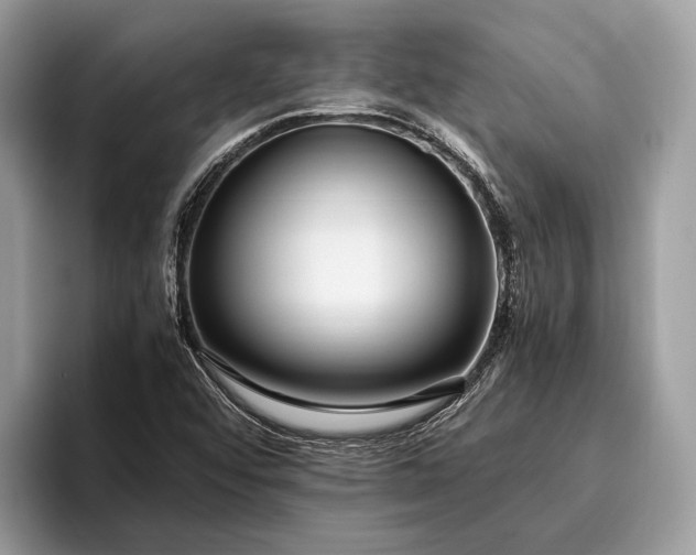 X0000095911456200801251000