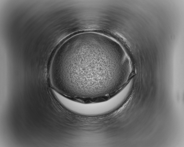 X0000095911457200801251000