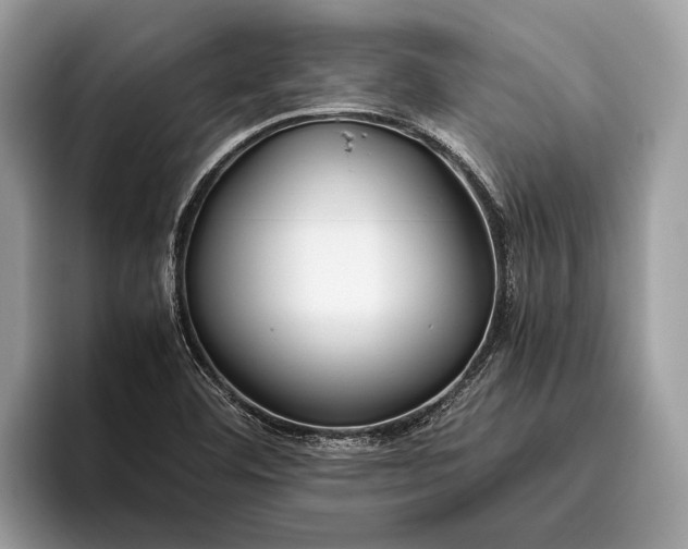 X0000095911460200801251000