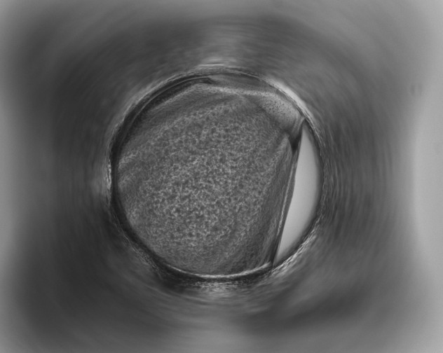 X0000095911461200801251000