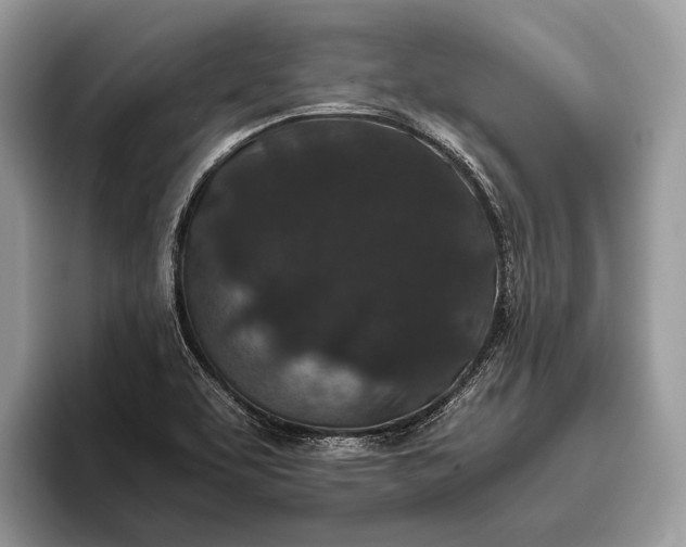 X0000095911463200801251000