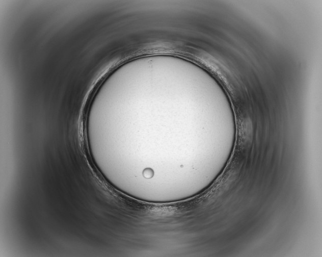 X0000095911466200801251000